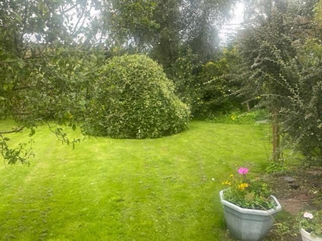 White House Bed & Breakfast Carlisle  Bagian luar foto
